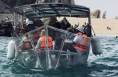 El Arco Cabo San Lucas